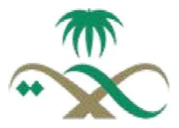 Government client